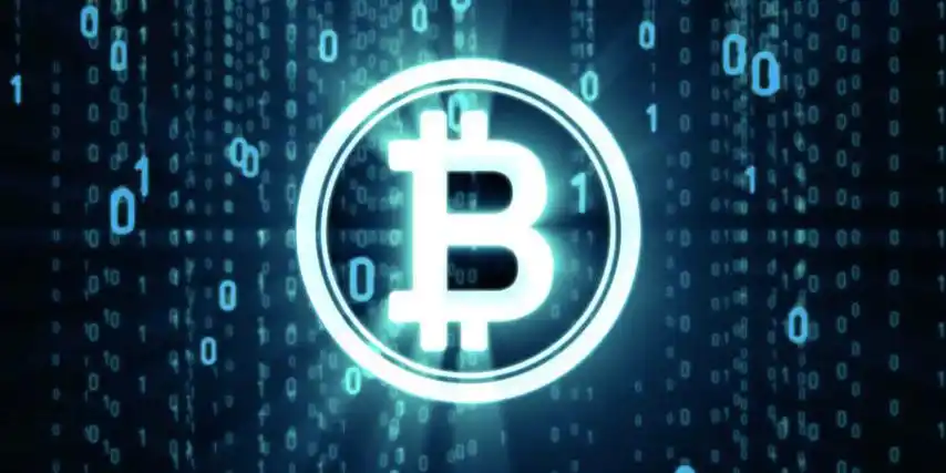 应届生如何落户上海_体检项目有哪些_完整指南与避坑建议