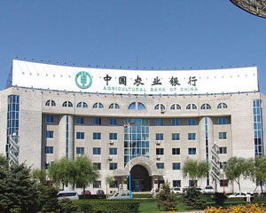 投资者如何通过银行的咨询服务优化投资？